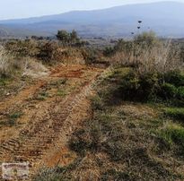 İzmir/selçuk/havutçulu'da, Toplam 6.548m2 Olan Tarla Satılıktır.