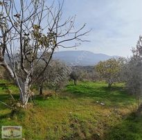 İzmir/selçuk/havutçulu'da, Toplam 6.548m2 Olan Tarla Satılıktır.