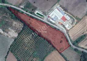 |susurluk| Çiftlik Ve Meyve Bahçesine Uygun Asfalta Cephe Elektrikli Arazi