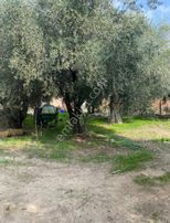 Yasaklar Group'tan İmarlı Arsa Gökkaya Ahmetli/ Fırsat Yatırım