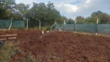 Sahibinden Satılık Her Şeyi Hazır Hobi Bahçesi