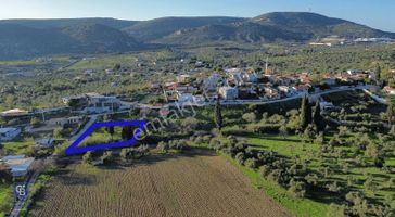 Foça Yeniköy'de Köy Merkezine Yakın Satılık Tarla