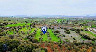 Foça Yenibağarasında Satılık 3 Dönüm Tarla