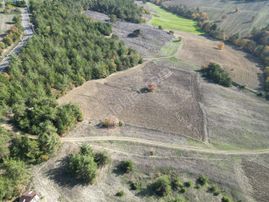 Geyvede 100 Dönüme Yakın Yolu Var Satılık Tarla Komple Satılacak