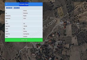 Şükran Gayrimenkul'den Pamukovada 1.092 Mkare Satılık Zeytinlik