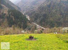 Hatunoğlu'dan Satılık Rize-çamlıhemşin'de 824 M2 Tarla