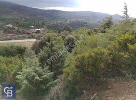 Seferihisar Kavakdere De Anayola Cepheli Arsa