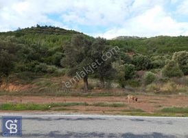 Seferihisar Kavakdere De Anayola Cepheli Arsa