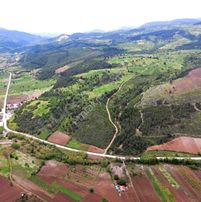 Balcity - Balıkesir Sındırgı’da Resmi Yola Cepheli İmar Sınırında Yerleşim Dibinde!
