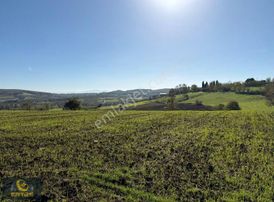 Adapazarı Aşırlar Mahallesi İmar Alana Girmiş Tarla