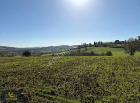 Adapazarı Aşırlar Mahallesi İmar Alana Girmiş Tarla