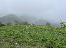 Bungalov Yapımına Uygun Parsel