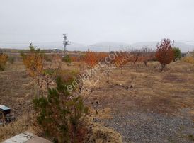 Fourx4 Gayrimenkulden 3500 Metrekare Hazır Sistem Kurulu Bahce