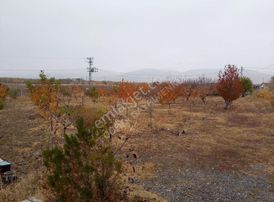 Fourx4 Gayrimenkulden 3500 Metrekare Hazır Sistem Kurulu Bahce