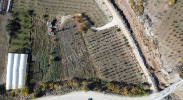 Vip Gayrimenkul'den Eskihisar Mah. Anayola Sıfır Meyve Bahçesi