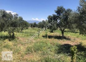 !!!fırsat!!! Arya'dan 8300 M2 Arazi İçersinde Çiftlik Evi