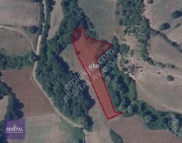 Organize Sanayiye Komşu 4 Dönüm Tarla