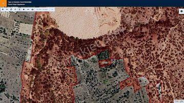 Başkan Emlaktan Satılık Bilecik Yenipazar Kavacık'ta 826 M2 Bağ