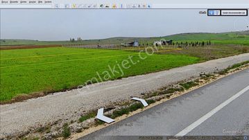 Başkan Emlaktan Satılık Bilecik Söğüt Yeşilyurt'ta 379 M2 Tarla