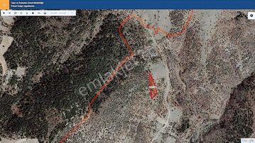 Başkan Emlaktan Satılık Pazaryeri Demirköy'de 2,202 M2 Tarla