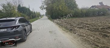 4 Dönüm Müstakil Tapu Yol Su Elektrik Sorunu Yok.köy İçine Yakın