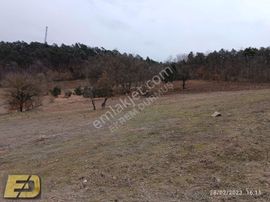 Bolu Mudurnu Taşkesti Şehrin Dibinde 5187m2 Kaçırılmayacak Arsa