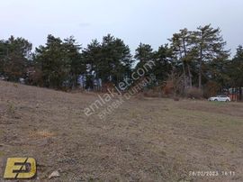 Bolu Mudurnu Taşkesti Şehrin Dibinde 5187m2 Kaçırılmayacak Arsa