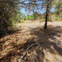 Trent Emlak'tan Satılık Akseki Erenyaka'da 650 M2 Tarla