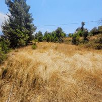 Trent Emlak'tan Satılık Akseki Erenyaka'da 650 M2 Tarla