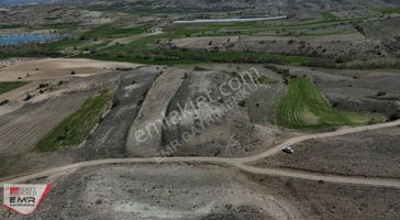 Burdur Tefenni,de Tek Tapulu 10 Dönüm Satılık Tarla