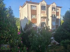 Korucuk Merkezde Satılık Bakımlı Uygun Fiyata Satılık Daire