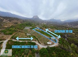 Erdemli Koramşalı'da Yetişmiş Kiraz Bahçesi Ve Müstakil Ev