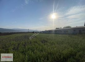 (elektrik & Su Mevcut Çiftlik Kurulumuna Uygun) -aydoğan