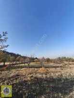 Denizli Acıpayam Dedebağı Satılık Arsa