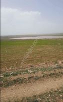 Sahibinden Satılık Kelepir Tarla