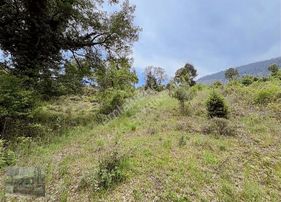 Mersin Toroslar Da 7388 M2 Harika Konumda Tarla Takas Olur