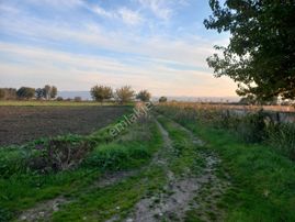 🌿 Bergama Yukarıkırıklar Mahallesinde 3.250 M² Satılık Tarla