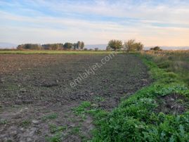 🌿 Bergama Yukarıkırıklar Mahallesinde 3.250 M² Satılık Tarla