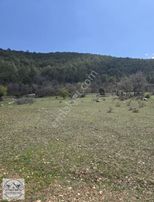 Saygılı Emlak'tan Göynükören'de Satılık Tarla