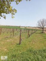 Emlakyap Tan Kırklareli Kızılcıkdere De Bağ Yeri