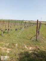 Emlakyap Tan Kırklareli Kızılcıkdere De Bağ Yeri