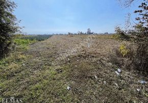 Adapazarı Çökekler Mah.'de Yola Cephe Satılık Tarla!!!