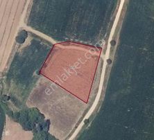 |bandırma| Merkeze 20 Dakika Mesafede Köy Girişi Yol Su Elektrik