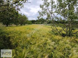 Yuşa'dan Kırklareli Pınarhisar Da Müstakil Tapulu Kupon Yer