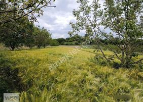 Yuşa'dan Kırklareli Pınarhisar Da Müstakil Tapulu Kupon Yer