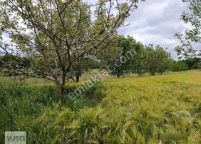 Yuşa'dan Kırklareli Pınarhisar Da Müstakil Tapulu Kupon Yer