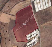 |susurluk| Balıkesir 20 Dk Çiftlik Projesine Uygun Asfalta Cephe