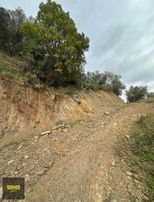 Küçükkuyu Tariş Yakını Resmi Yola Cephe Zeytinlik