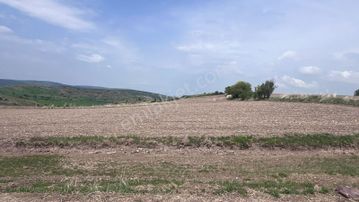 Ayaş Başbereket Mahallesi Yola Cephe 5351 M2 Satılık Hisse