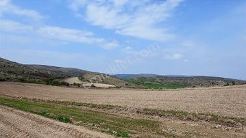 Ayaş Başbereket Mahallesi Yola Cephe 5351 M2 Satılık Hisse